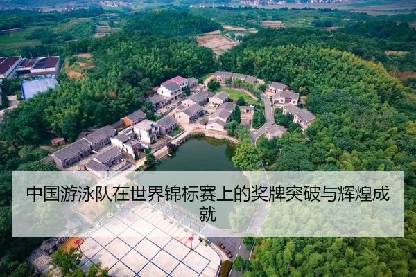 中国游泳队在世界锦标赛上的奖牌突破与辉煌成就